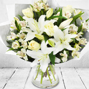 Dashing Through the Snow